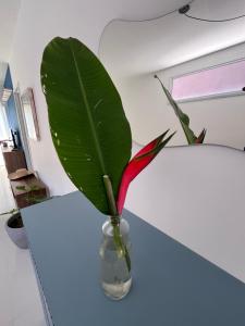 Linda casa 200 m da praia Boiçucanga