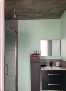 Logement f2 Bains les bains La Chapelle