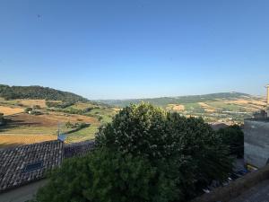Well Home Serra 31