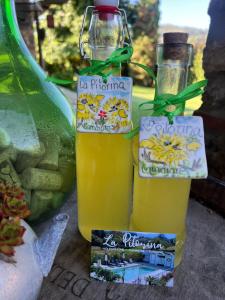 La Pitorina Holidayhome