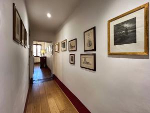 Aurora 88 Apartments