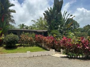 Tropical Oasis in Ojochal