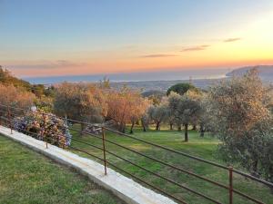 A CASA DI OLIVO