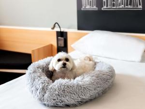 Ibis Poznan Stare Miasto