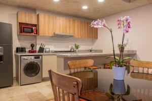 Spacious and cozy apartment in Mexico City