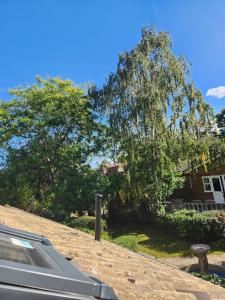 Cosy Suite with Private Access in London Putney