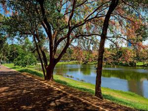 ibis Ribeirao Preto Shopping