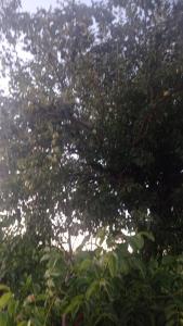 Agriturismo i Due Mori