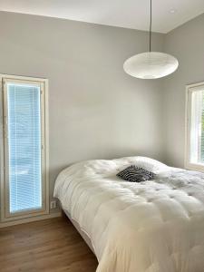 Nordic Aurora home with jacuzzi