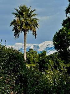Relais Fasanella attico - Lago di Garda Toscolano Maderno
