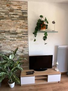 Joli dOli 2, Collioure Port Vendres, front de mer, tout à pieds