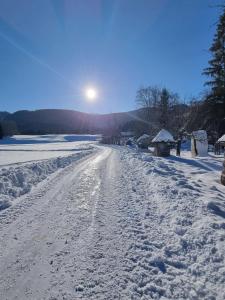 Ferienhaus DaPfusterer