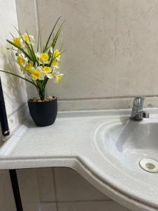 Apartamento completo e central! Casa Caju!