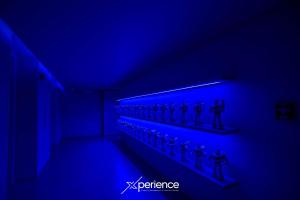 Indigo at 11, City Views and Wonderland Vibes!