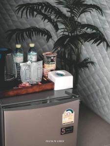 360องศาเขาค้อ