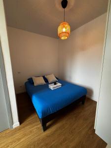 Le Nébula - rénové - parking - proche centre ville