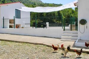 Estudio Finca Mas el Bravo