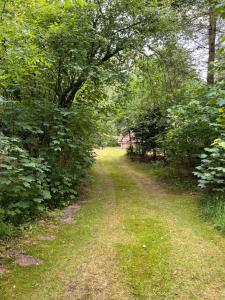 De Boomklever, vrijstaand en midden in het bos aan de heide!