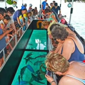 HABZ RIDES Private Glass Bottom Boat Excursions