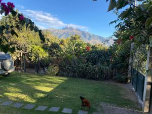 Casa Blanca departamento