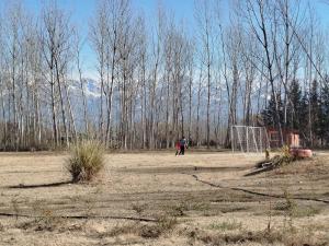 Cabaña Alto Colonia