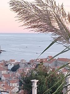 Apartment Marica & Comfortable 1 bedroom apartment & Old City view