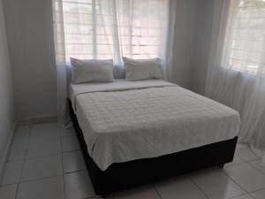 Wamz Apartments And Tours A