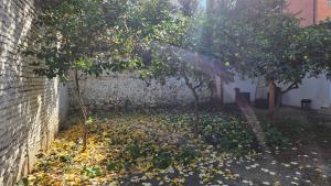 Garden Lemon Tree Villa