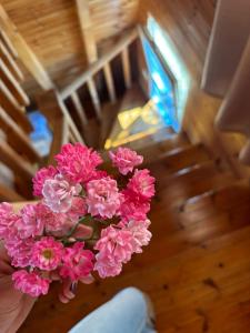 Sea View Wooden Houses