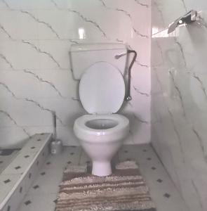 Wamz Apartments And Tours A