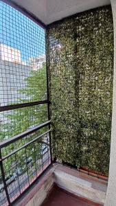 Rincón de Mina Centro