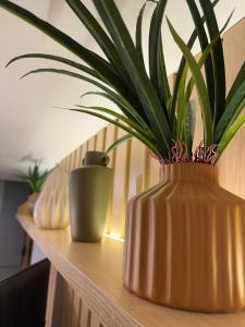 Diamante de Ribeirão Conforto e ótima localização!