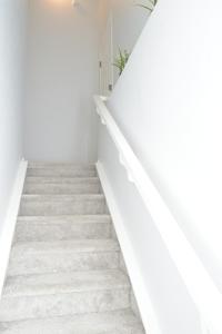 Beautiful Basement Suite in Stillwater, West Edmonton