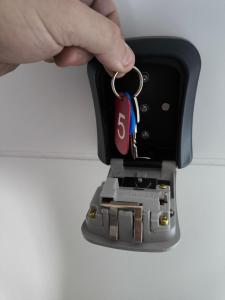 Notre Dame dOrgemont - Rose 3