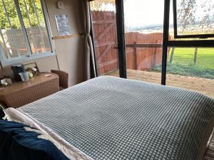 The Cabin in the Woods