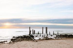 the tiny burrow a magical fleurieu escape