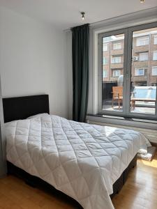 Spacious and comfortable apartment