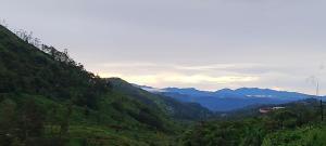 Misty cloud homestay