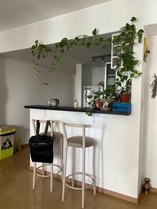 Beautiful apartment in Palermo