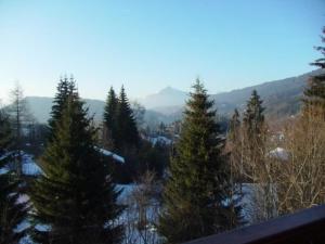 Appartement 4 pièces 8 pers rénové avec parking aux Carroz dArâches - FR-1-572-335