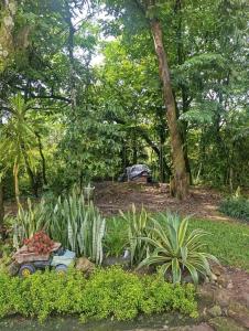 My Llano Lindo Américas