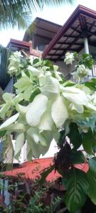 Sayul Villa Unawatuna Унаватуна