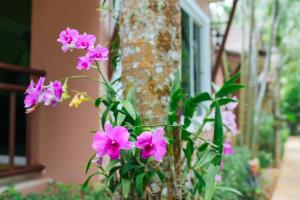 Thai Modern Resort & Spa "Newly Renovated"