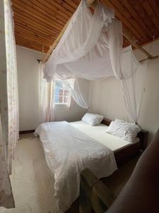 Garden Villa Homestay