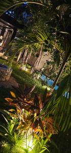 Serenity Sanctuary PH