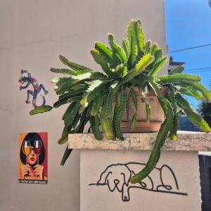 Akvamarin Stone House