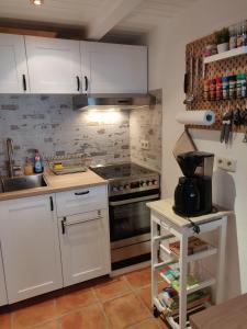 Haus-Salamander-mit-Sauna