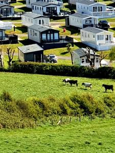 E68 Durdle Door Holiday Park