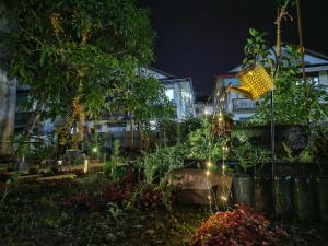 玖月舒苑特价房 6417