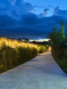 Moon Stars Mars homestay-Mars Room